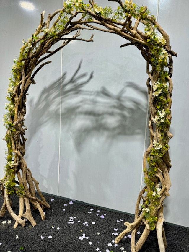 Natural driftwood ceremonial arch