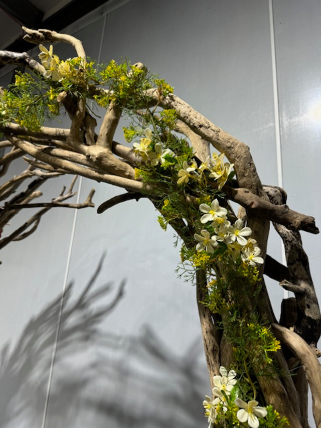 Natural driftwood ceremonial arch